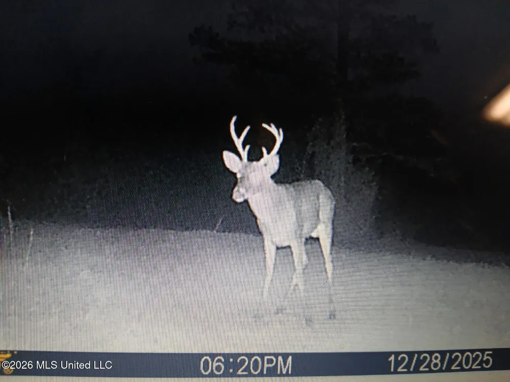4655 Hwy 43 Camden, MS 39045