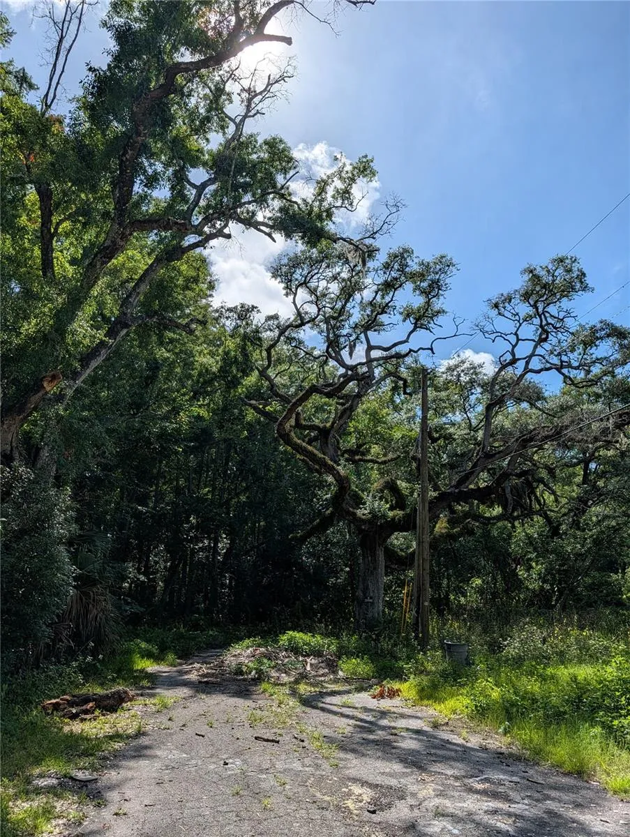 TBD KIOWA New Port Richey, FL 34654