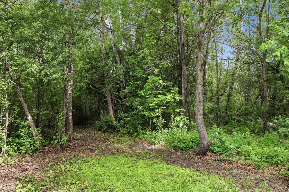 17360 205th Avenue NW Big Lake, MN 55309