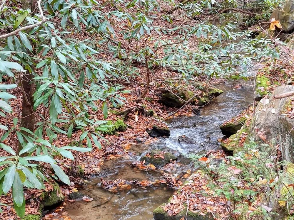 135.49ac Webb Creek Road Andrews, NC 28901