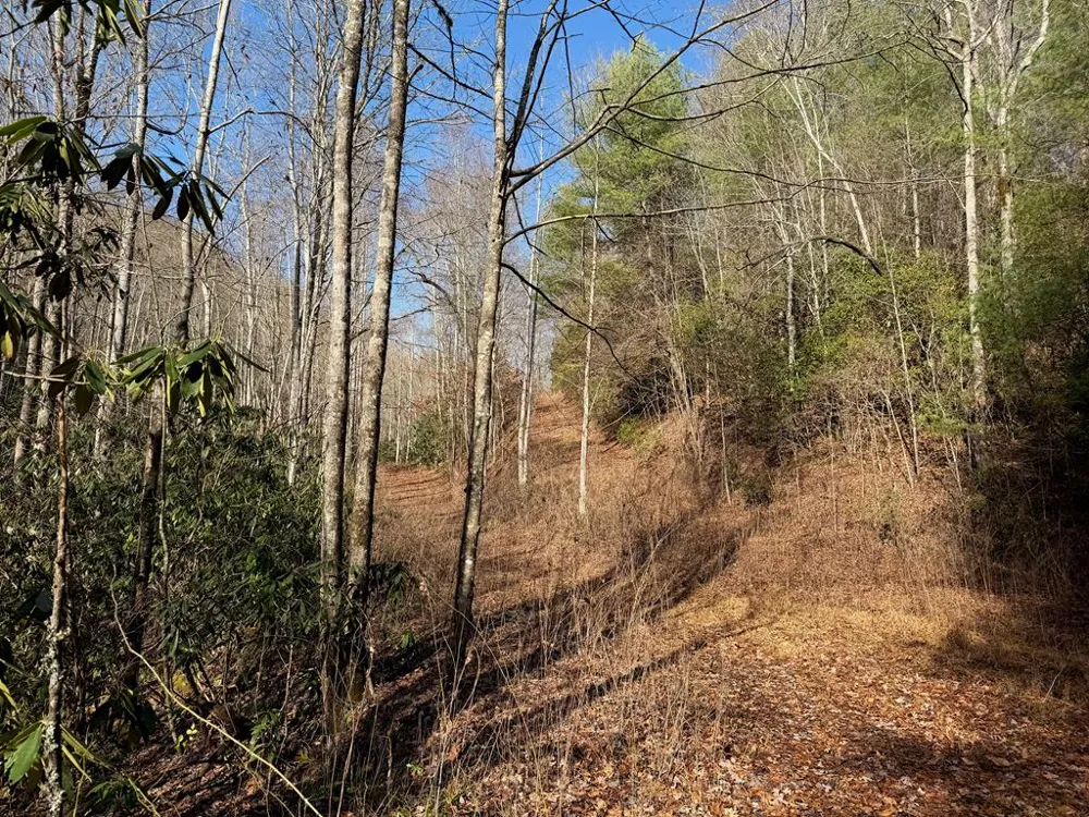135.49ac Webb Creek Road Andrews, NC 28901
