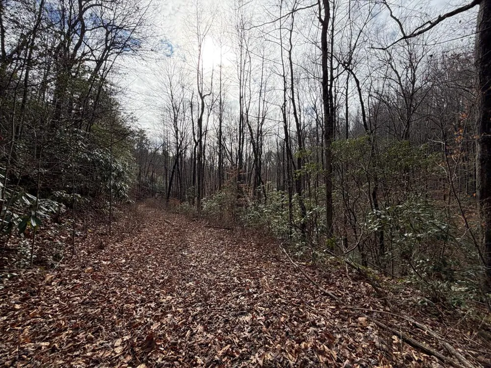 135.49ac Webb Creek Road Andrews, NC 28901