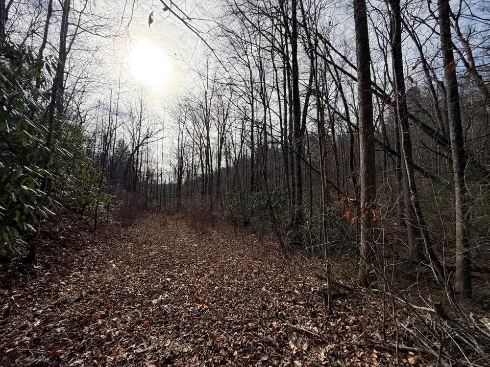 135.49ac Webb Creek Road Andrews, NC 28901