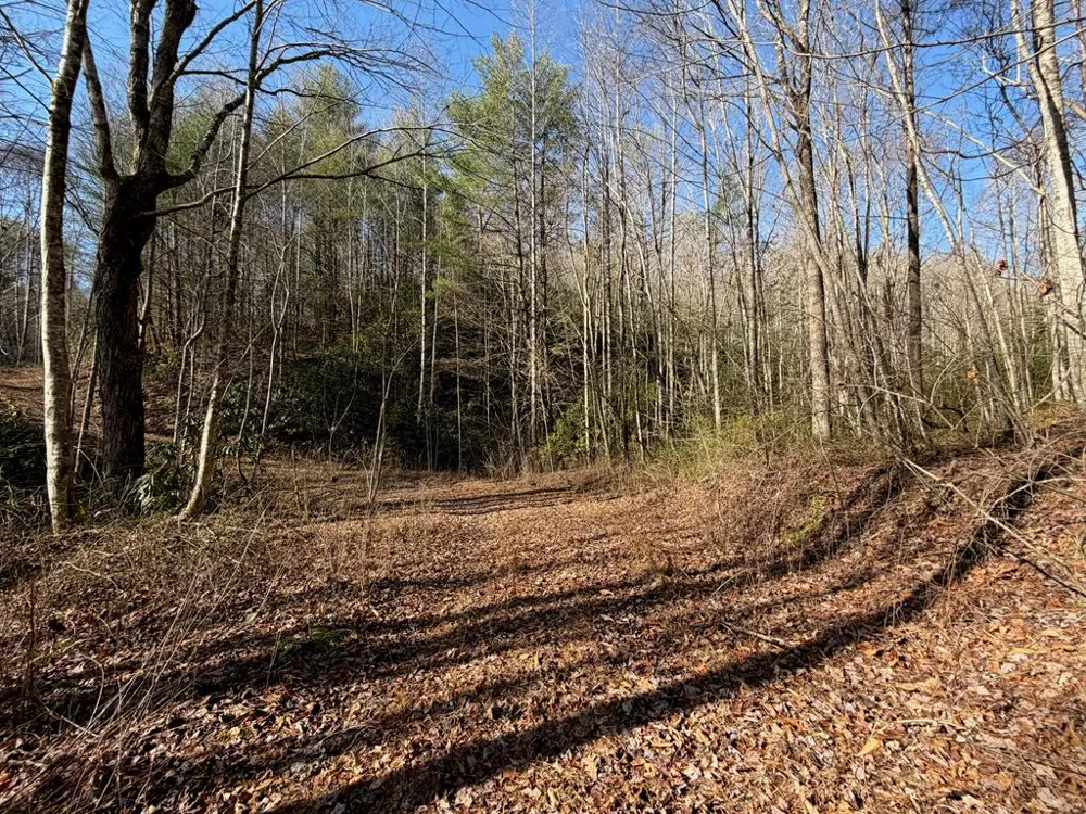 135.49ac Webb Creek Road Andrews, NC 28901