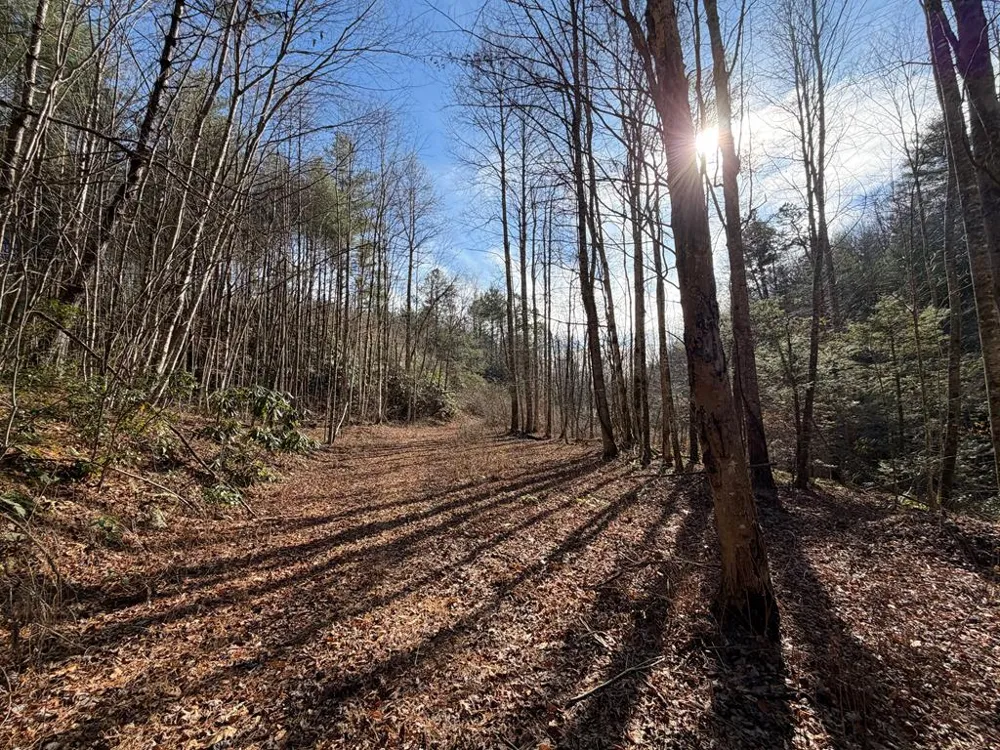 135.49ac Webb Creek Road Andrews, NC 28901