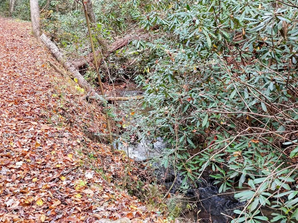 135.49ac Webb Creek Road Andrews, NC 28901