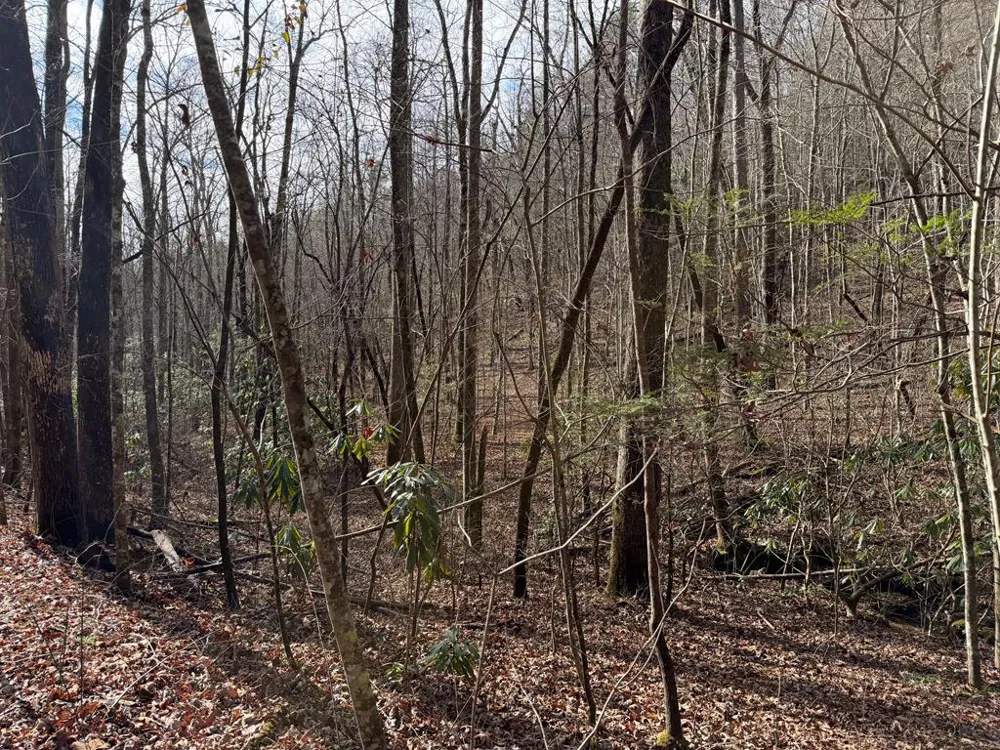 135.49ac Webb Creek Road Andrews, NC 28901