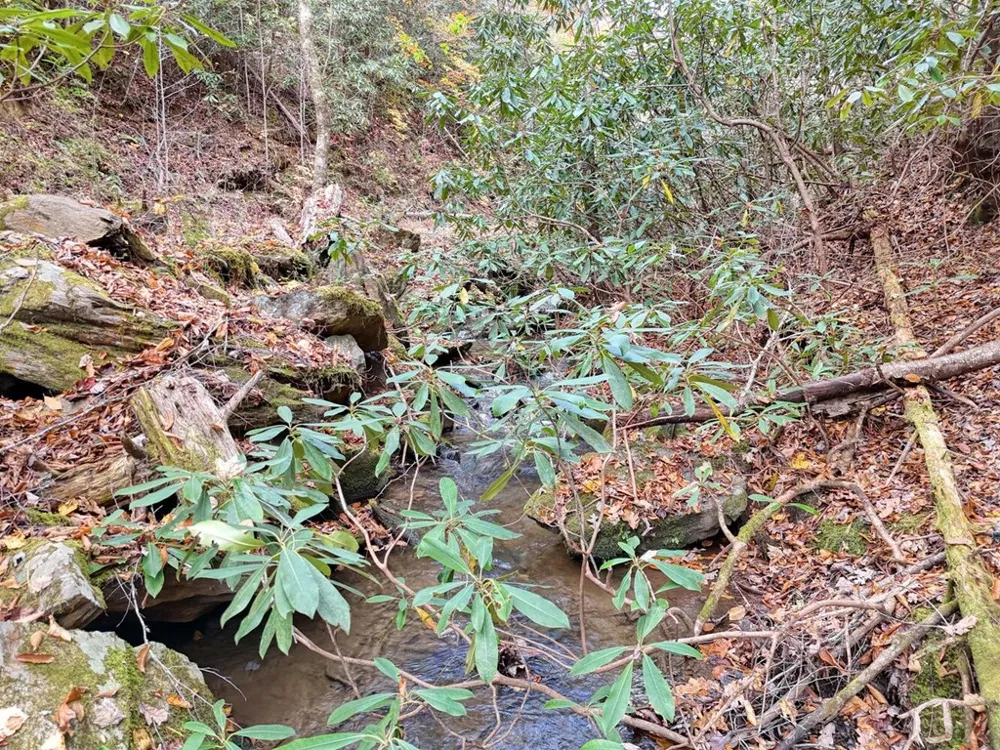 135.49ac Webb Creek Road Andrews, NC 28901