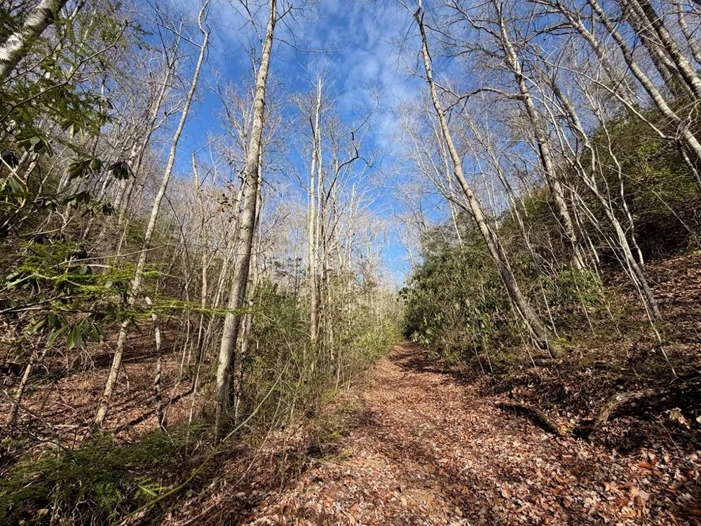 135.49ac Webb Creek Road Andrews, NC 28901
