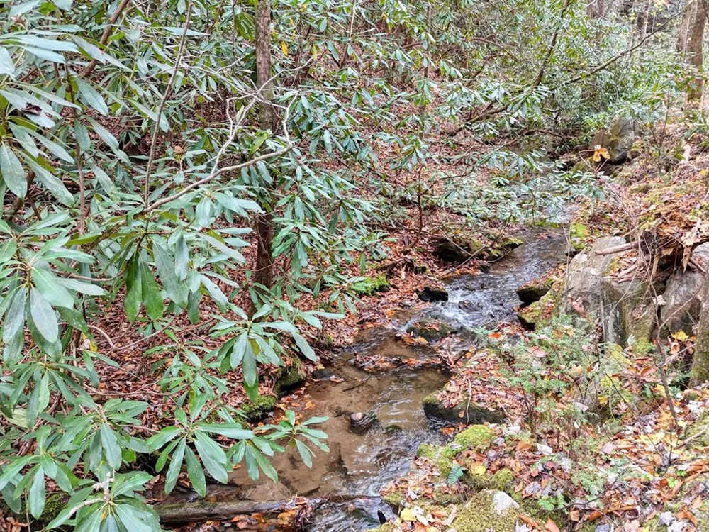 135.49ac Webb Creek Road Andrews, NC 28901