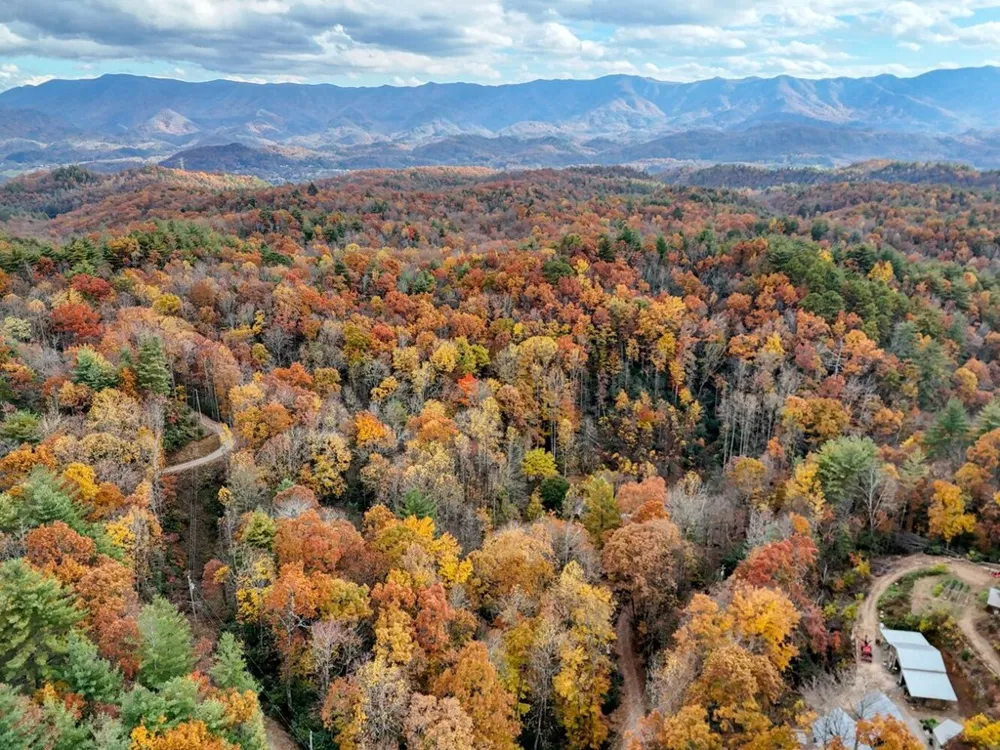 135.49ac Webb Creek Road Andrews, NC 28901