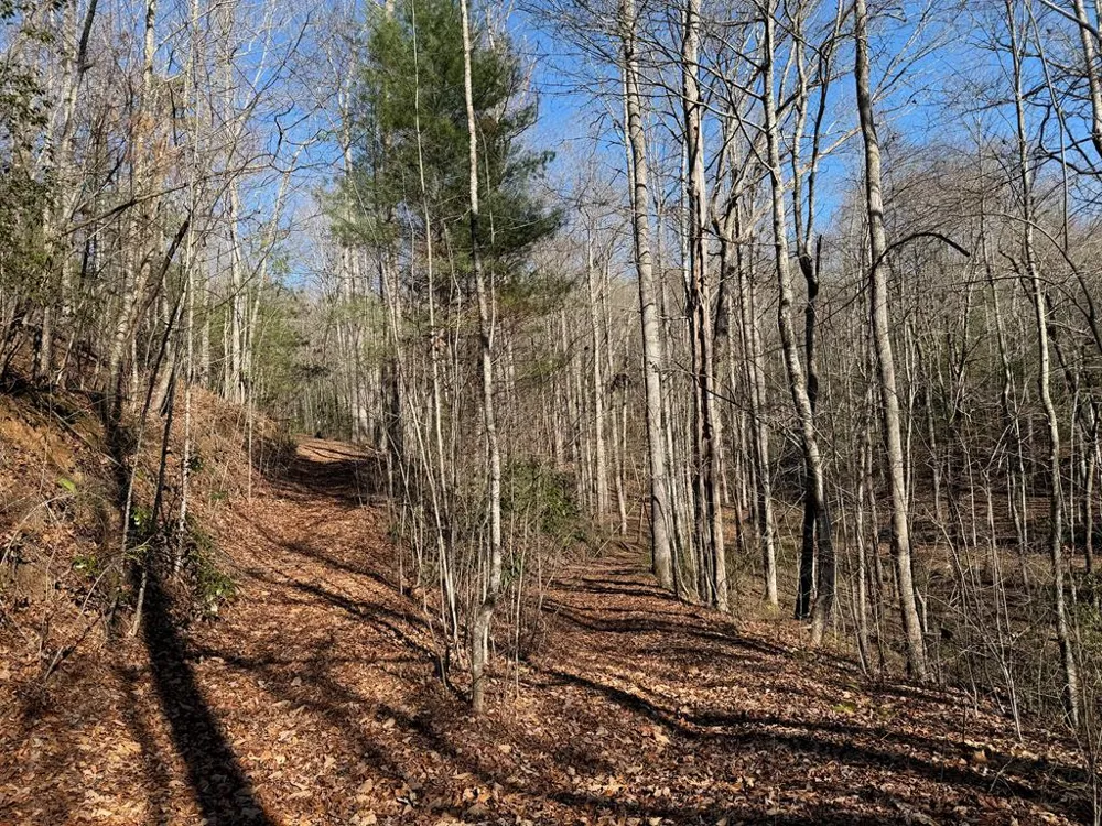 135.49ac Webb Creek Road Andrews, NC 28901