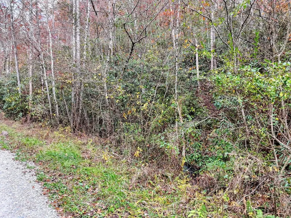 135.49ac Webb Creek Road Andrews, NC 28901