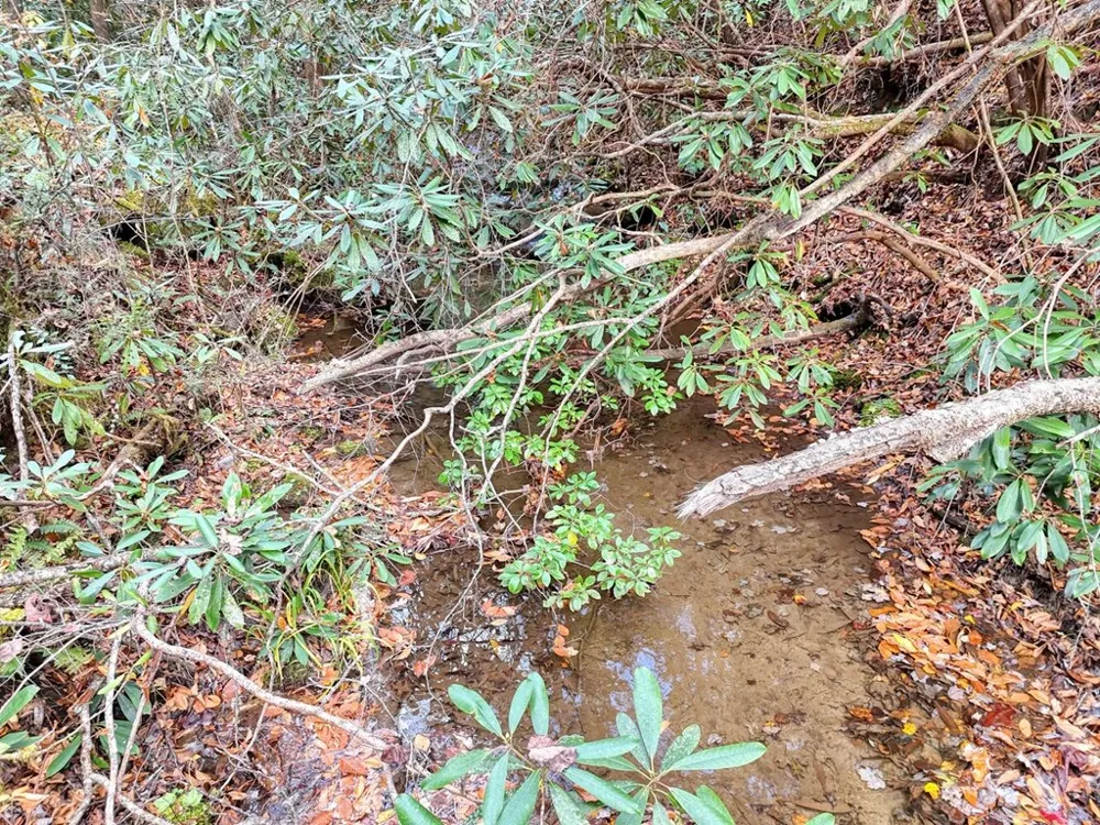 135.49ac Webb Creek Road Andrews, NC 28901