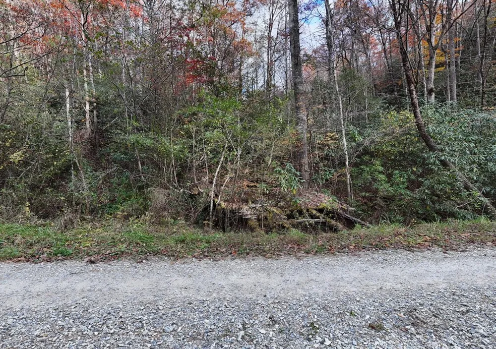 135.49ac Webb Creek Road Andrews, NC 28901