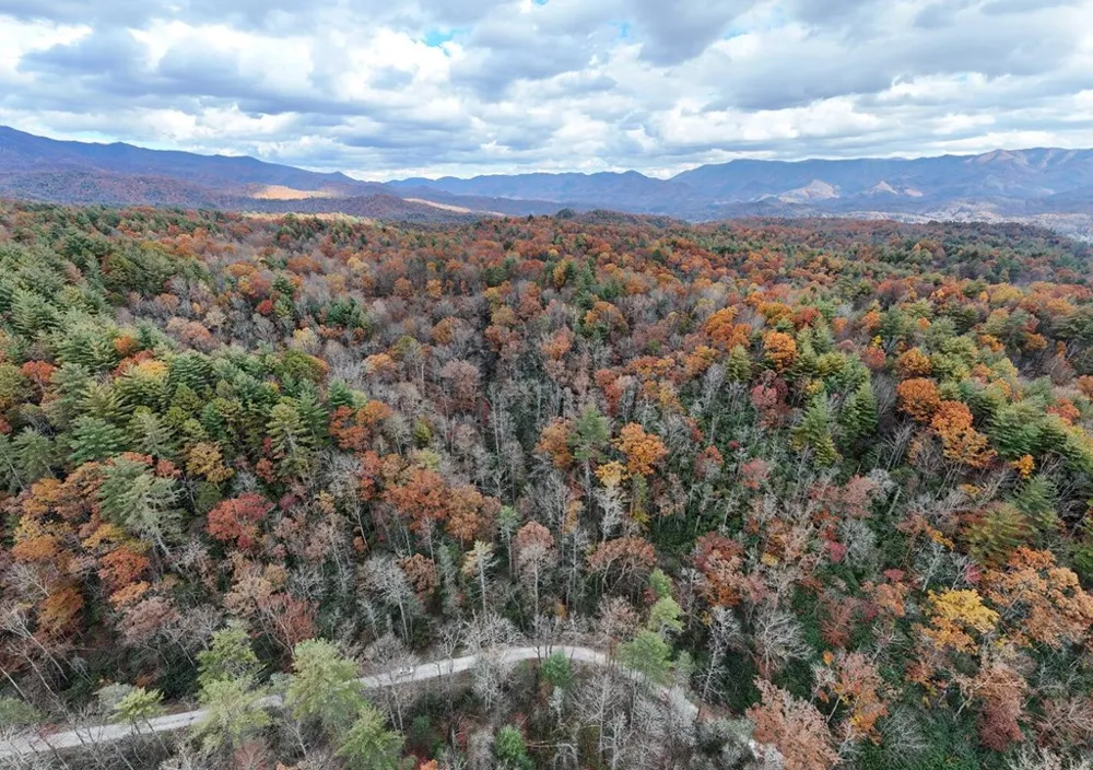 135.49ac Webb Creek Road Andrews, NC 28901