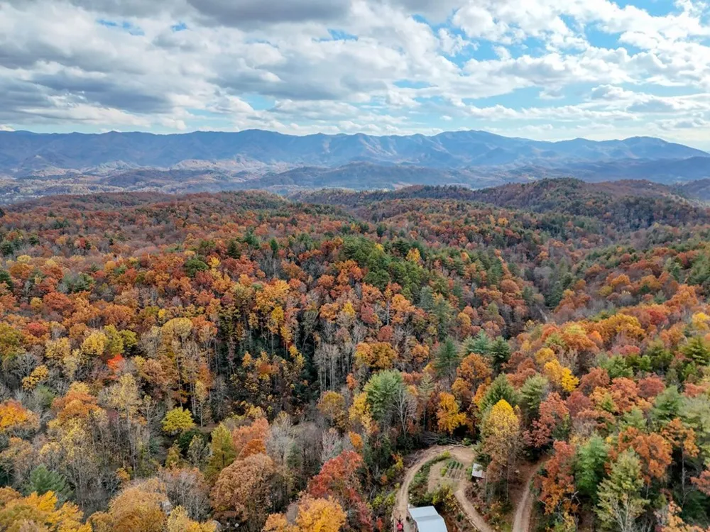 135.49ac Webb Creek Road Andrews, NC 28901