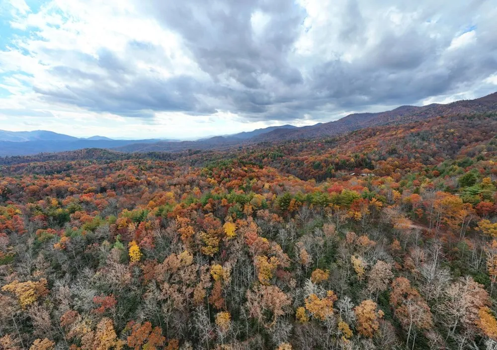 135.49ac Webb Creek Road Andrews, NC 28901