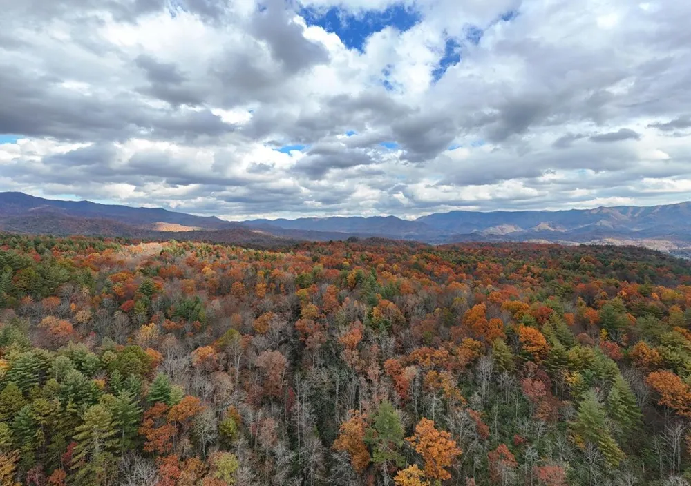 135.49ac Webb Creek Road Andrews, NC 28901