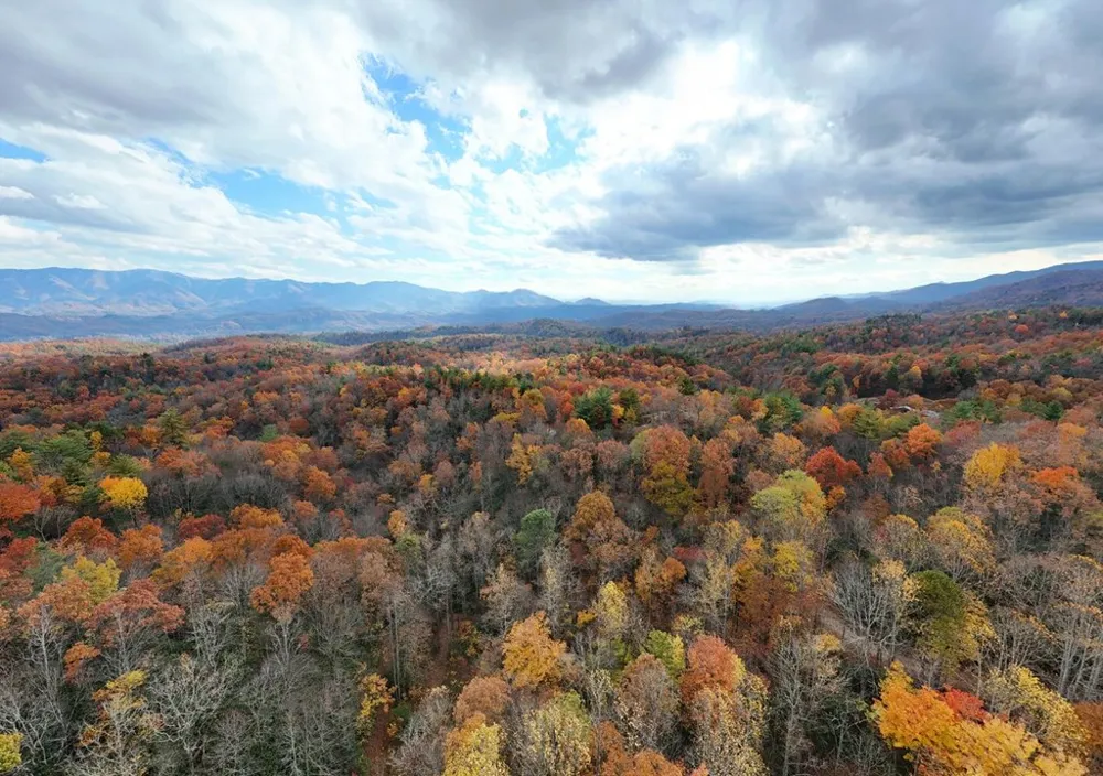 135.49ac Webb Creek Road Andrews, NC 28901