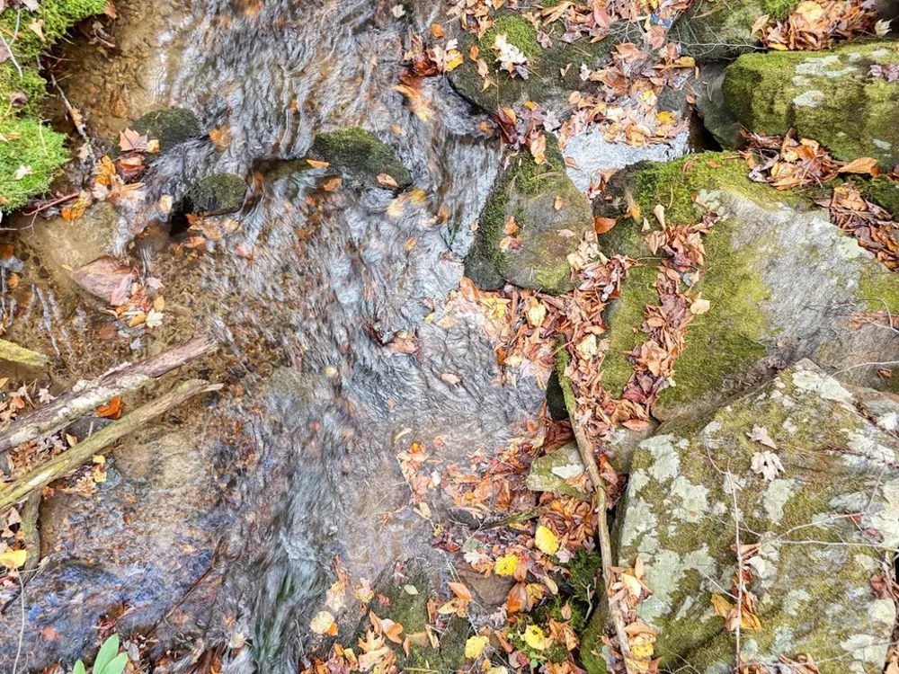 135.49ac Webb Creek Road Andrews, NC 28901