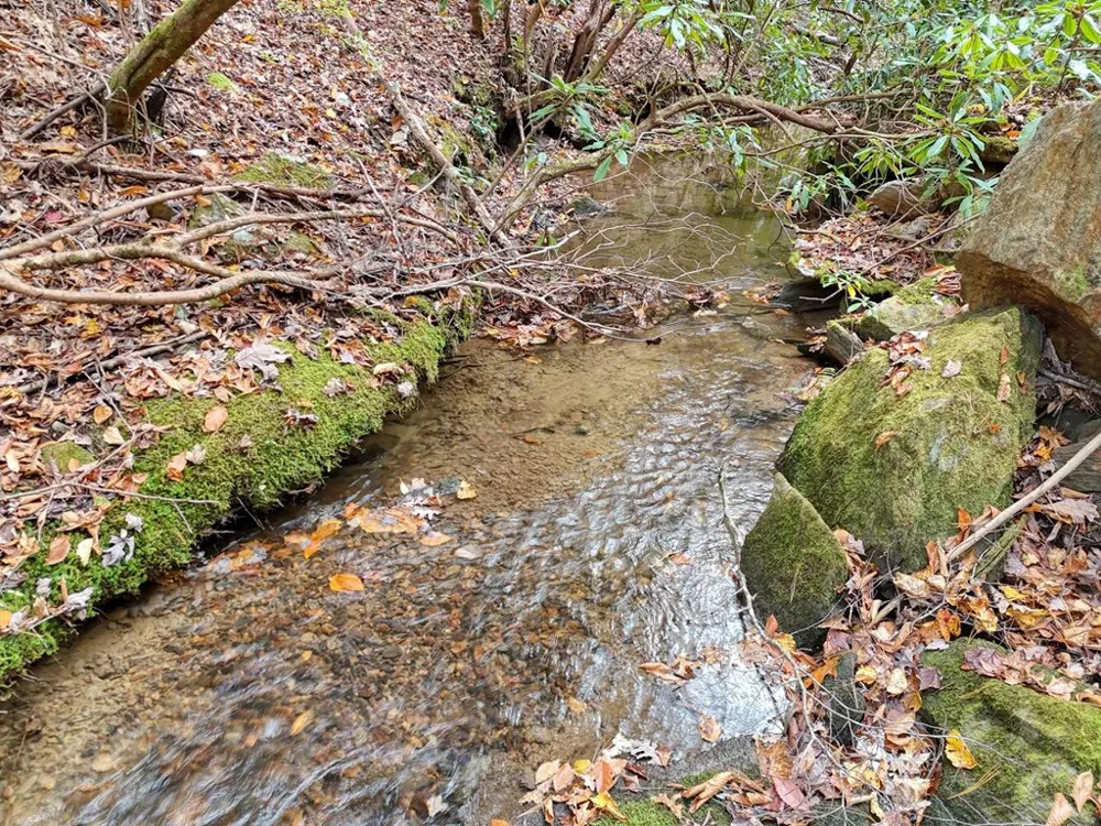 135.49ac Webb Creek Road Andrews, NC 28901
