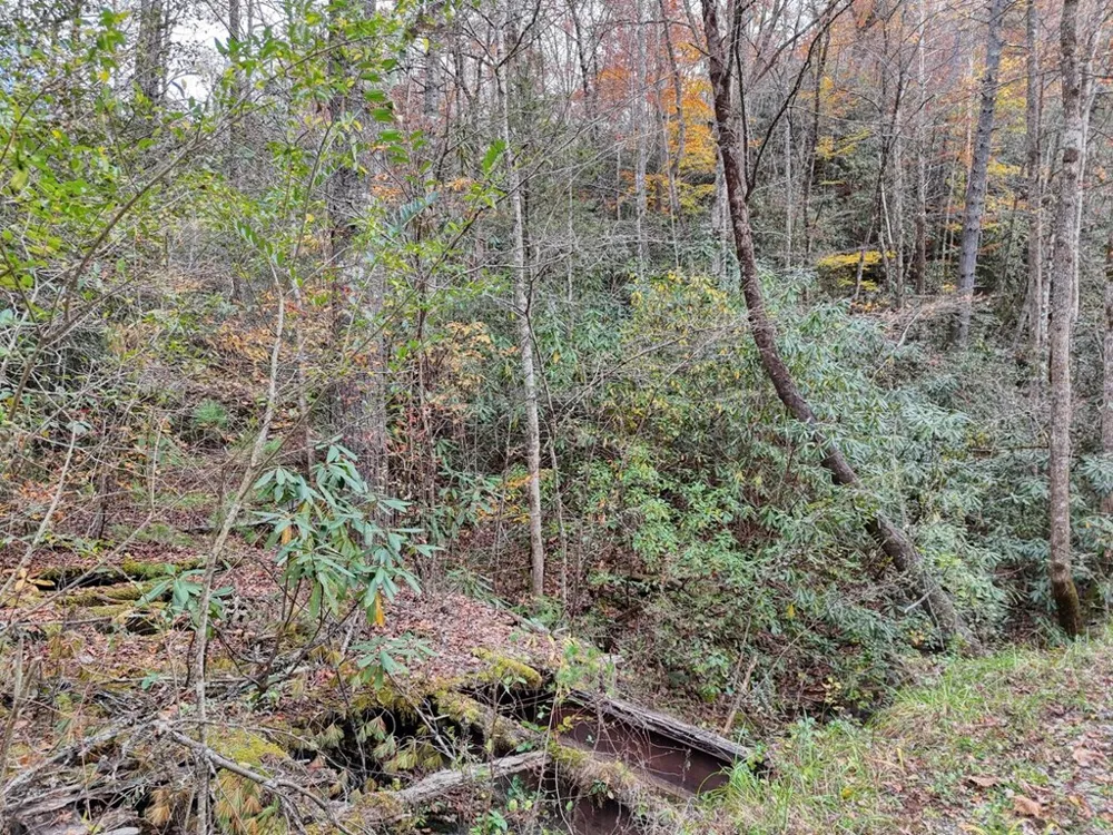 135.49ac Webb Creek Road Andrews, NC 28901