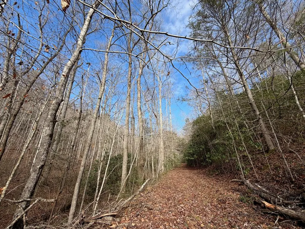 135.49ac Webb Creek Road Andrews, NC 28901