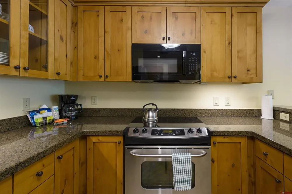 620 Gothic Rd #511 Crested Butte, CO 81225