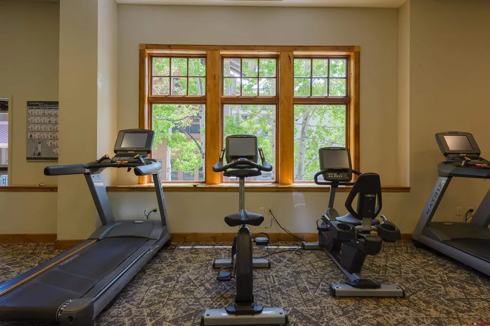 620 Gothic Rd #511 Crested Butte, CO 81225