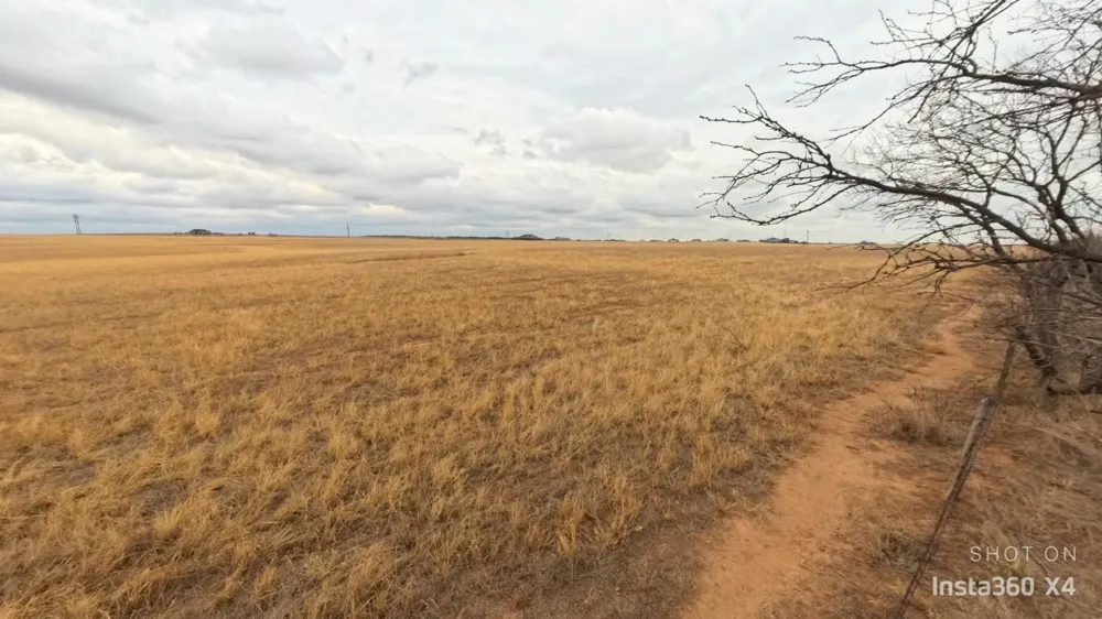 Daniels Road Burkburnett, TX 76354