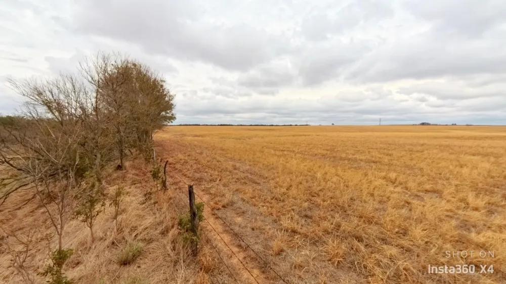 Daniels Road Burkburnett, TX 76354