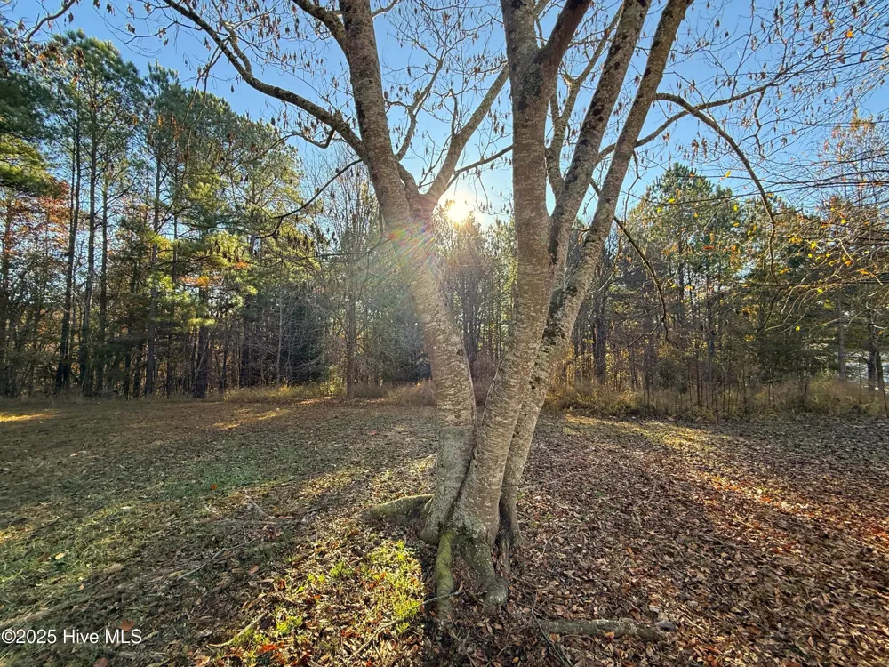 277 Riverhills Trail Rockingham, NC 28379