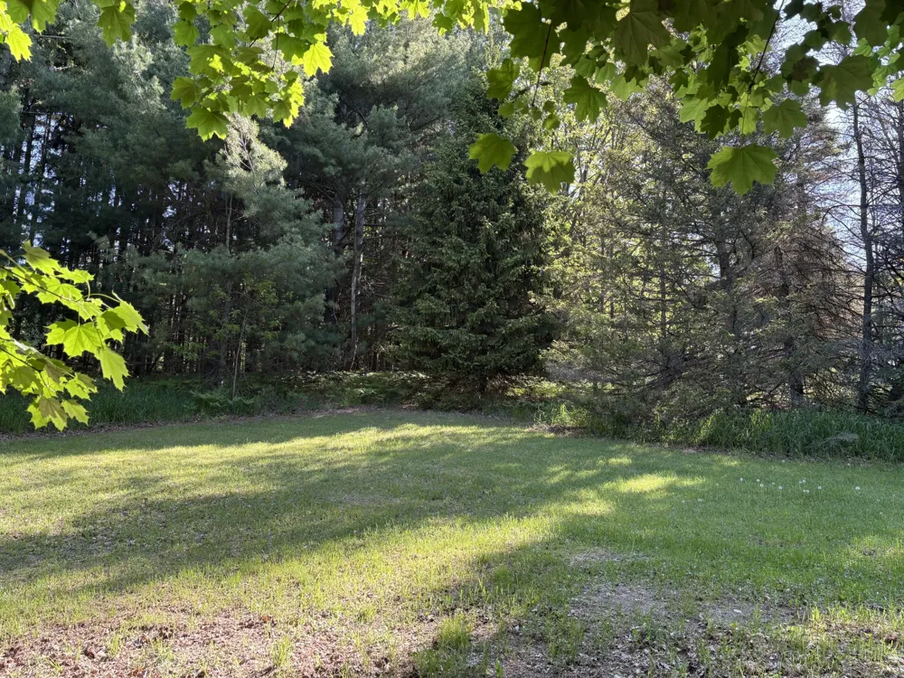 8819 Erdman Road Onekama, MI 49675