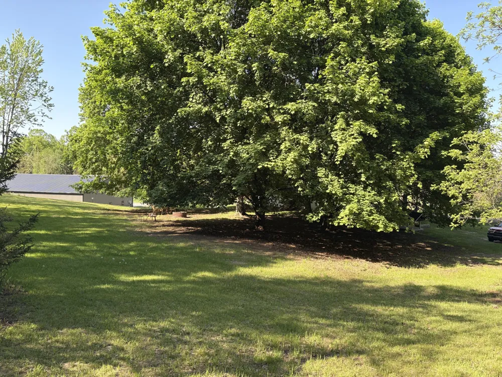 8819 Erdman Road Onekama, MI 49675