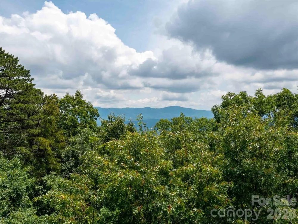 288 Eastman Place Mill Spring, NC 28756