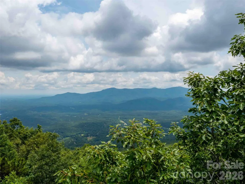 288 Eastman Place Mill Spring, NC 28756