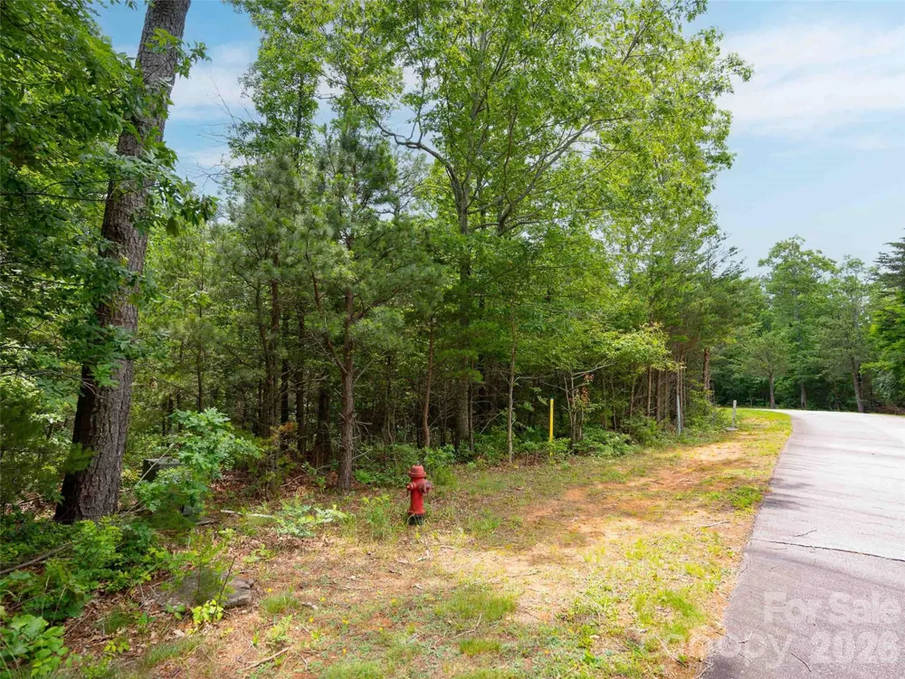 288 Eastman Place Mill Spring, NC 28756