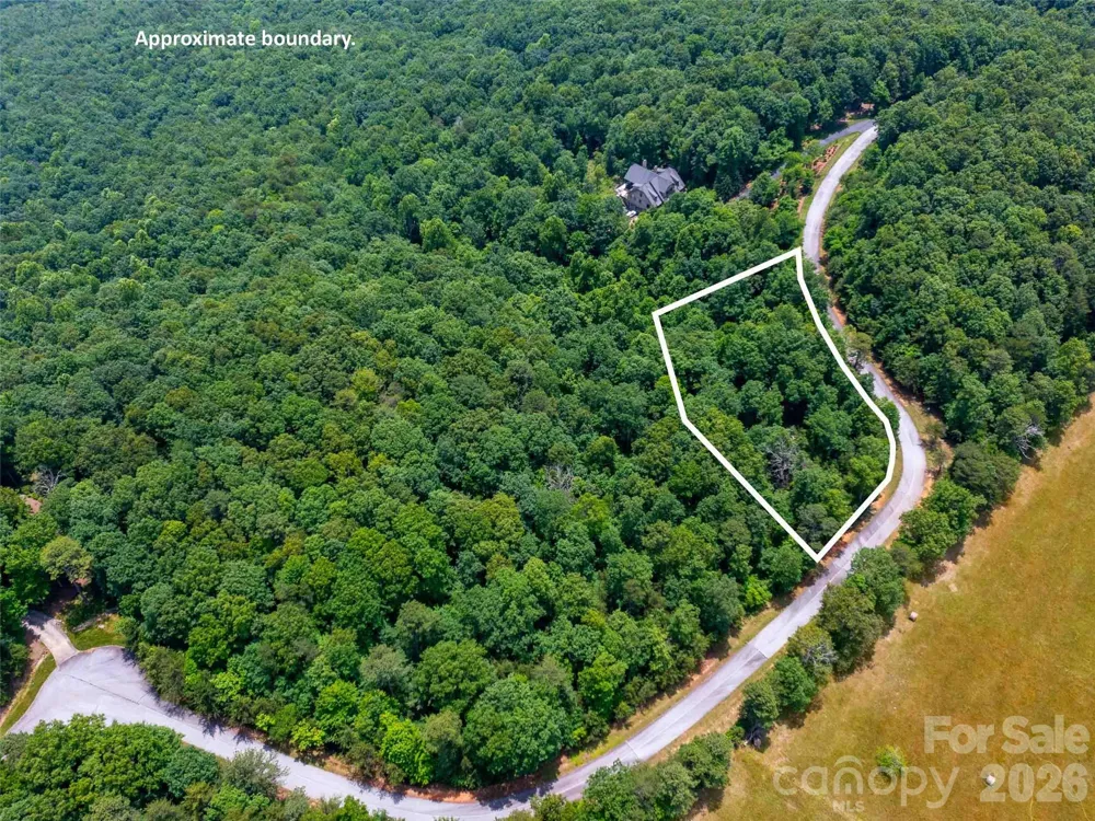 288 Eastman Place Mill Spring, NC 28756