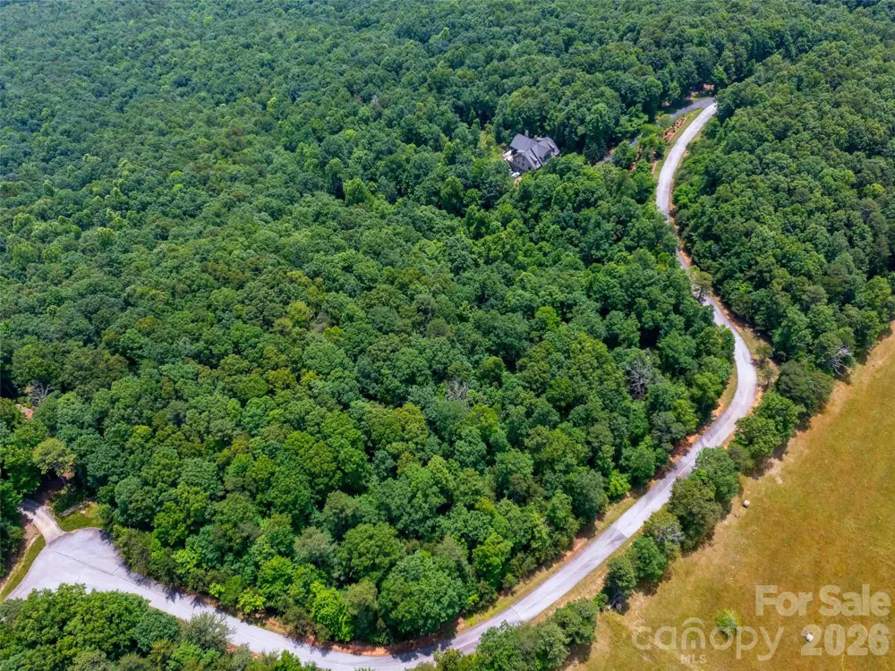 288 Eastman Place Mill Spring, NC 28756