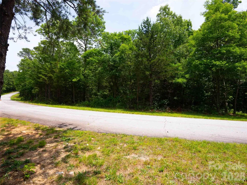 288 Eastman Place Mill Spring, NC 28756