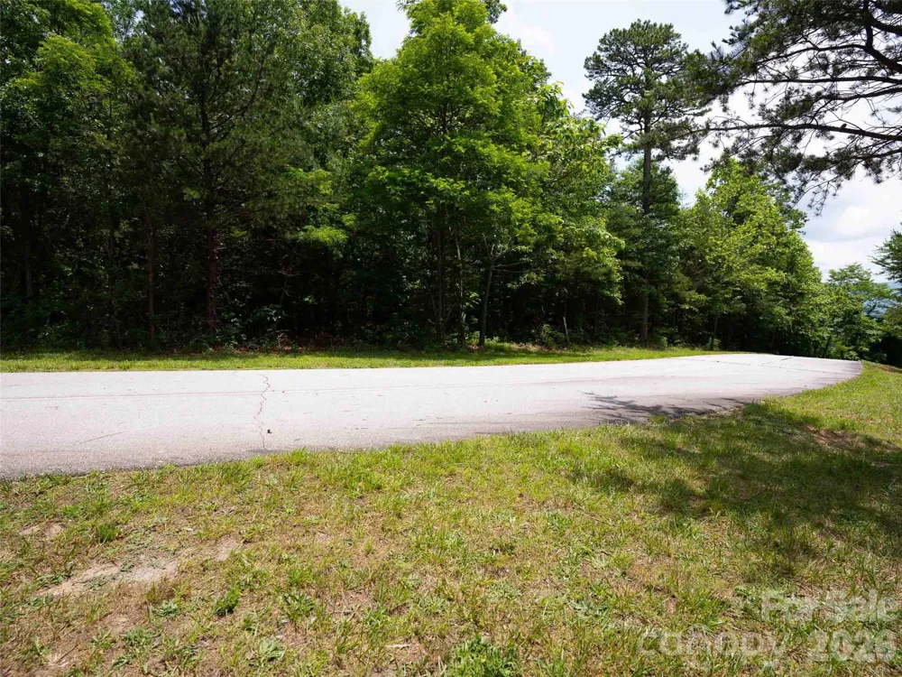 288 Eastman Place Mill Spring, NC 28756