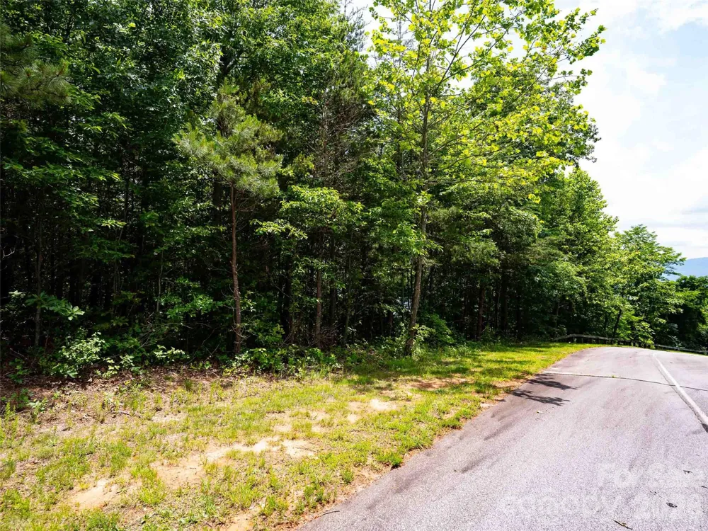 288 Eastman Place Mill Spring, NC 28756