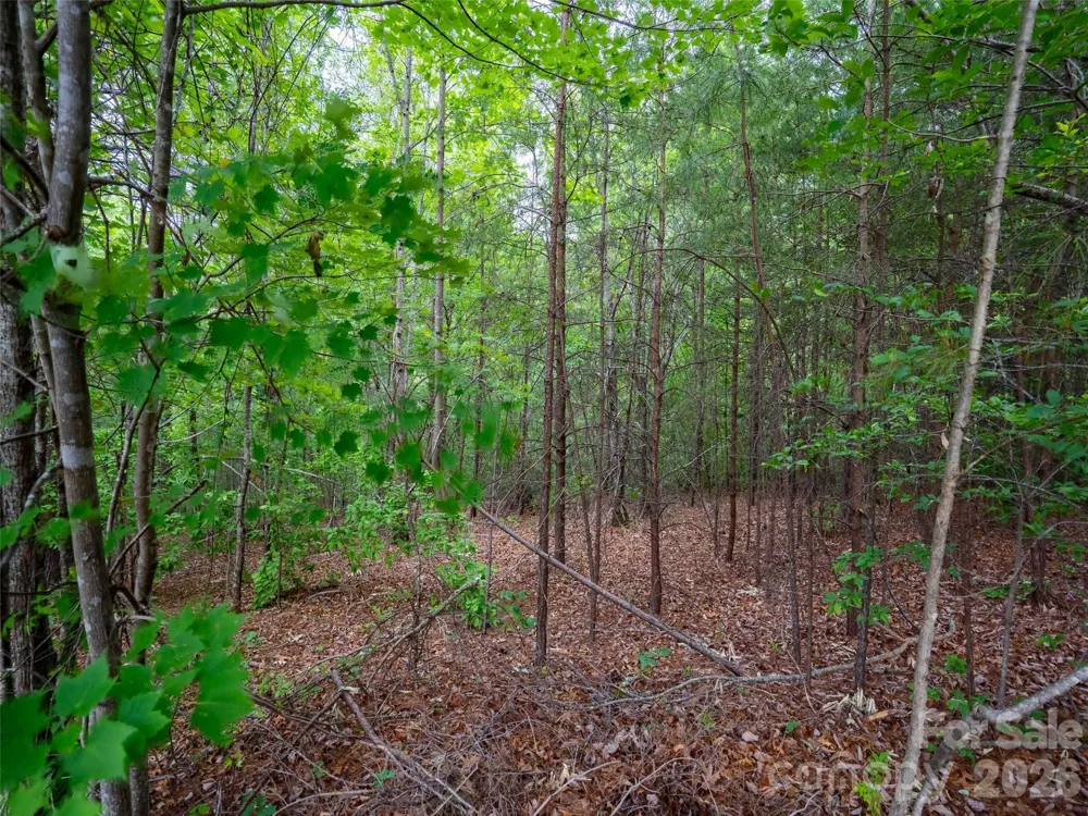 LOT 2009 Deep Gap Farm Road W Mill Spring, NC 28756