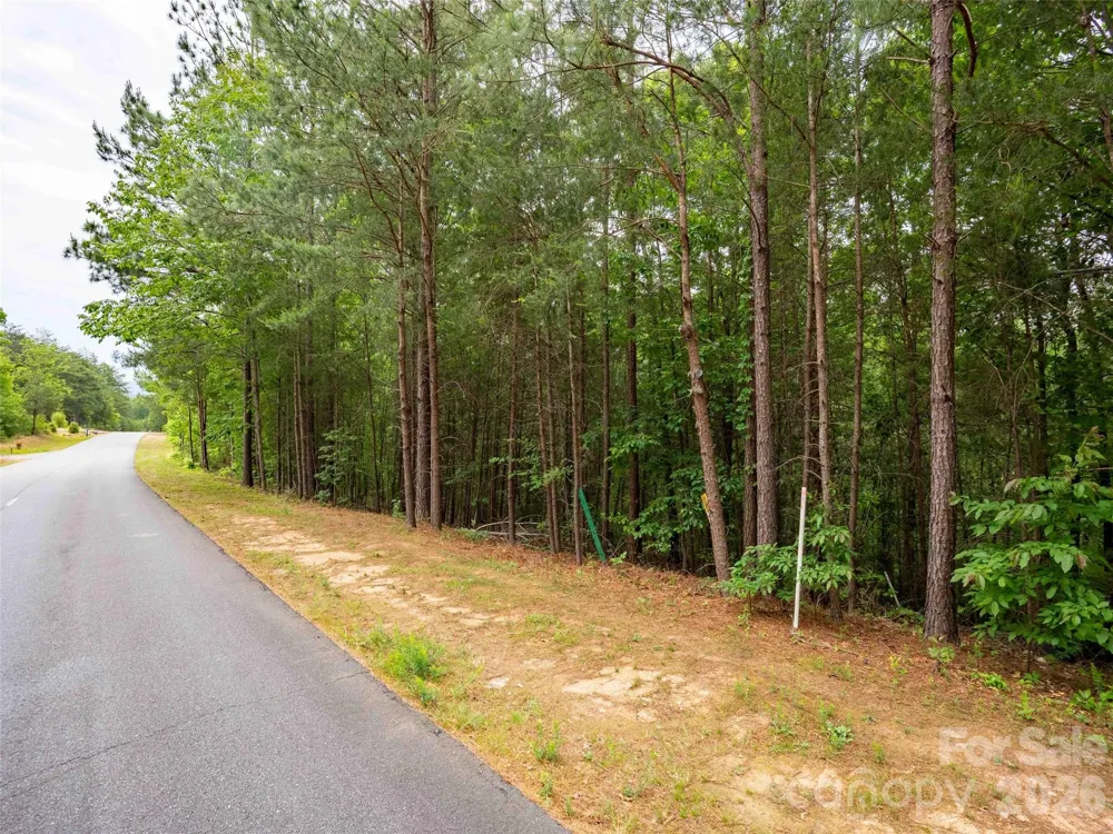 LOT 2009 Deep Gap Farm Road W Mill Spring, NC 28756