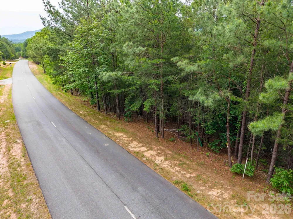 LOT 2009 Deep Gap Farm Road W Mill Spring, NC 28756