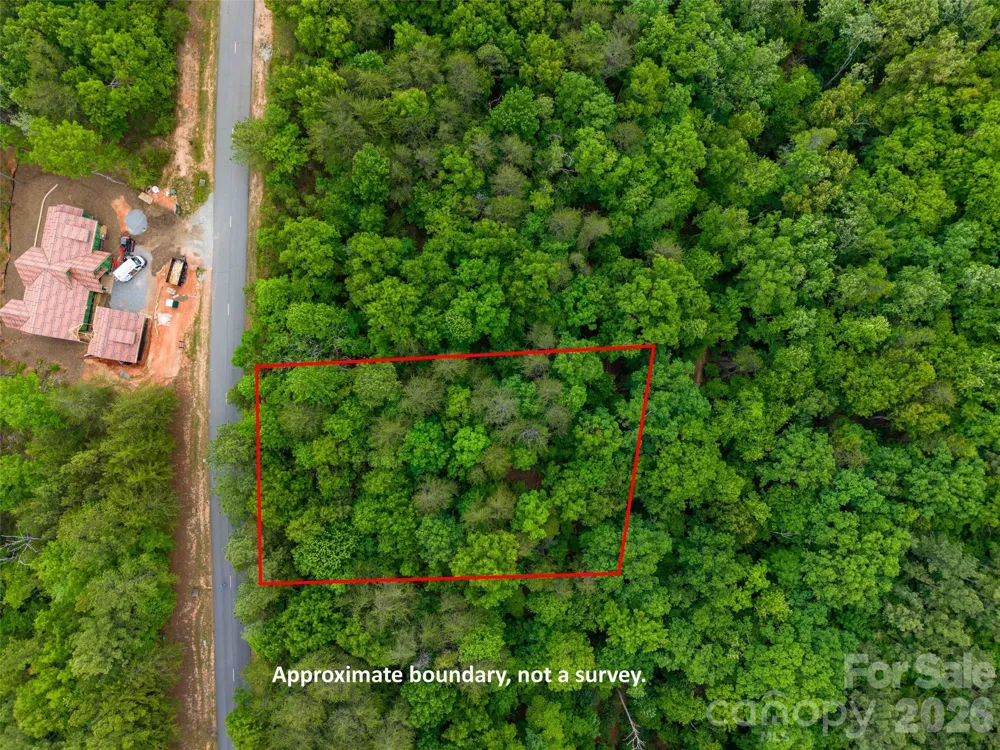LOT 2009 Deep Gap Farm Road W Mill Spring, NC 28756