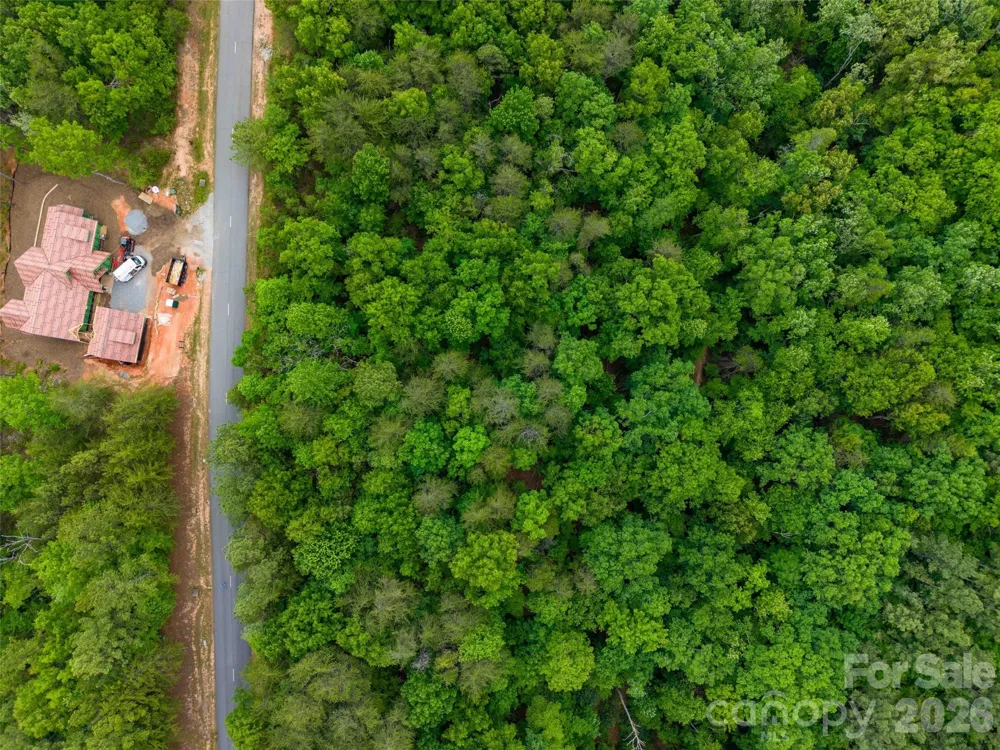 LOT 2009 Deep Gap Farm Road W Mill Spring, NC 28756