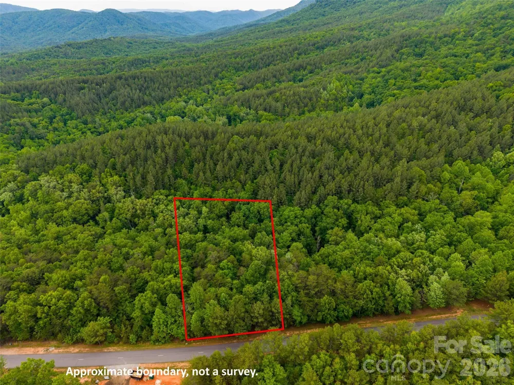 LOT 2009 Deep Gap Farm Road W Mill Spring, NC 28756