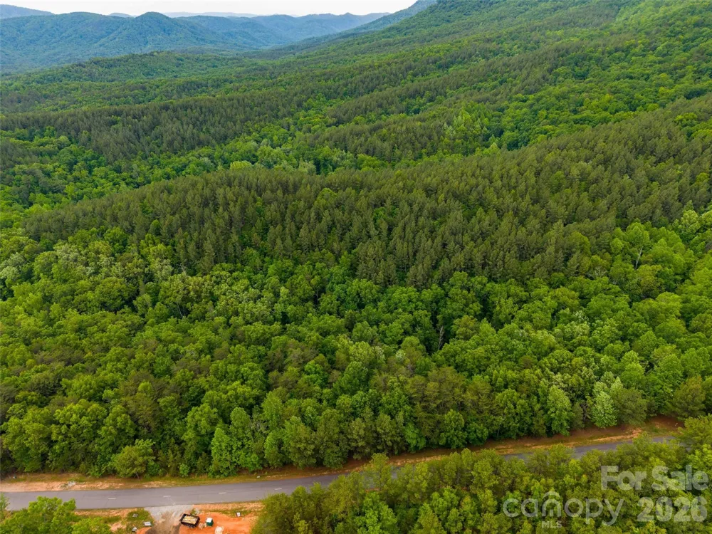 LOT 2009 Deep Gap Farm Road W Mill Spring, NC 28756
